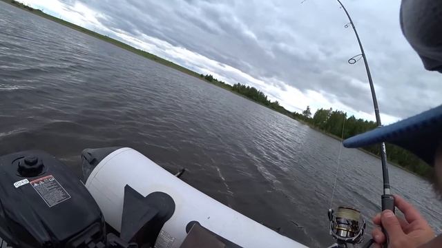 ЛУЧШИЙ ЦВЕТ НА ЩУКУ. ПРИМАНКИ НА ЩУКУ. РЫБАЛКА НА СПИНН смотреть онлайн