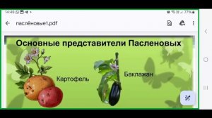 Ландшафтный дизайн. Занятие 08.05.2025. Педагог Коврижный Анастасия