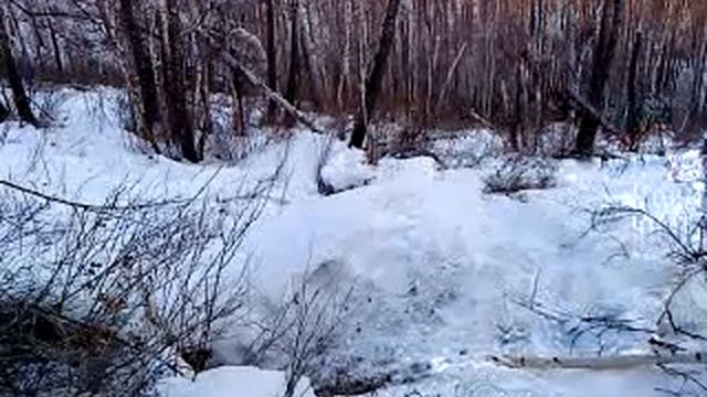 Охота в Сибири на медведя.