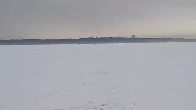 26.01.2025 Отчет о рыбалке на Белоярском водохранилище. Ан?