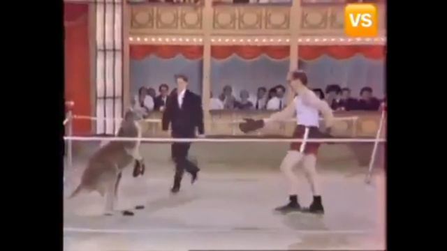 СМОТРЕТЬ ПРИКОЛЬНОЕ ВИДЕО. смотреть онлайн