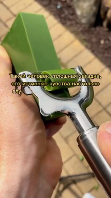 Самый мстительный знак зодиака.