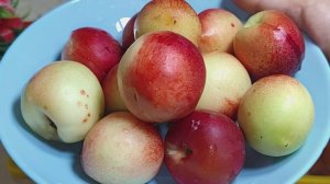 НАУЧИЛА ВСЕХ ПОДРУГ ГОТОВИТЬ ТАКУЮ ВКУСНЯШКУ ИЗ ПЕРСИКОВ! ПОДРУЖКИ В ВОСТОРГЕ ОТ РЕЗУЛЬТАТА