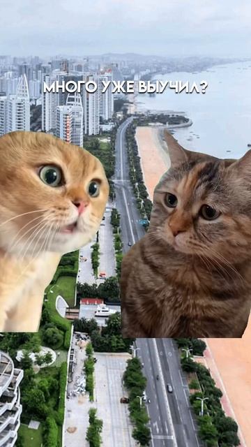 Жиза или нет? китай китайскийязык китайский