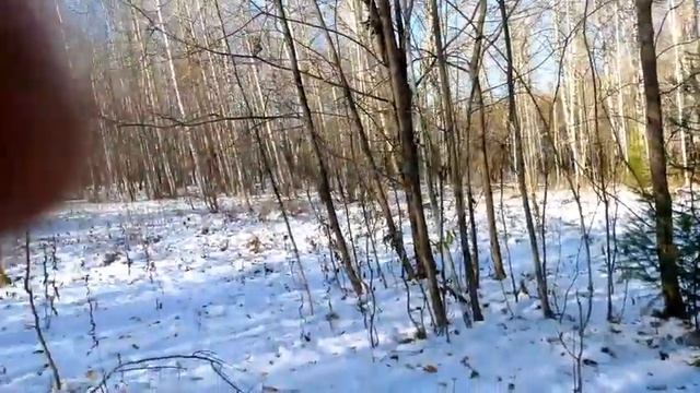 В лес за Берёзовой чагой смотреть онлайн