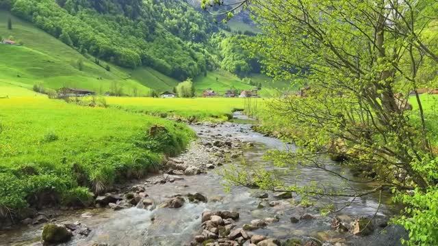Жизнь в сельской местности Швейцарии - Сельская жизнь в самых красивых швейцарских деревнях