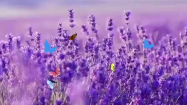 Доброе утро! Хорошего дня! Наших встреч с тобой синие ц смотреть онлайн