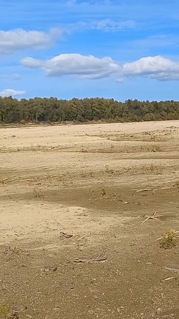 прогулка по сибирской пустыне. рыбалка на реке Иртыш. смотреть онлайн