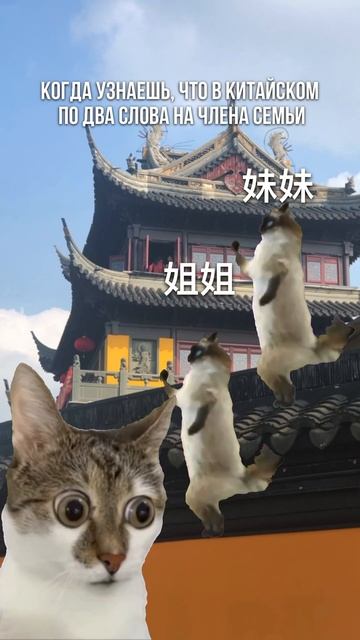 姐姐妹妹  старшаямладшая сестра 哥哥弟弟 старшиймладший брат китай китайскийязык китайский