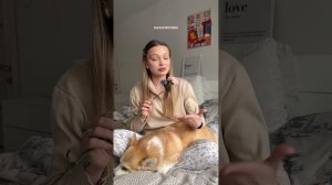 Если ваша собака кусает лапы, вам точно нужно это знат?