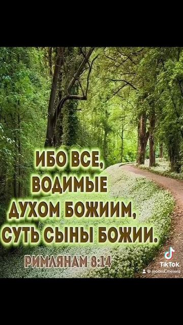 ИБО ВСЕ , ВОДИМЫЕ ДУХОМ БОЖИИМ , СУТЬ СЫНЫ БОЖИИ - 10.05.2024 смотреть онлайн