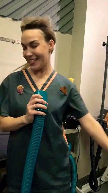 Не может быть! Чупакабра поёт, а собака подпевает #pets #ж смотреть онлайн