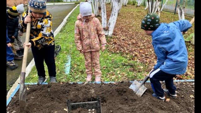 Огород