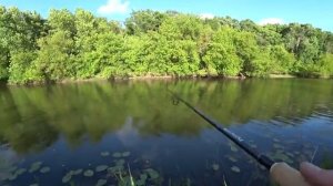 Рыбалка с берега на спиннинг. Рыбалка летом на реке.