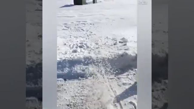 Проста Шутки