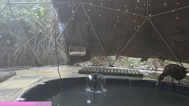 Так значит у твоей женушки есть квартира на море, кото? смотреть онлайн