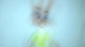 Ну, погоди! В деревне. 6 выпуск.