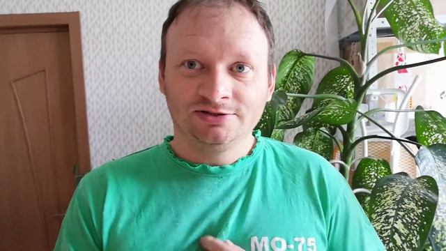 МОСТООТРЯД 75 ТАК И НЕ ВЕРНУЛ ЗАРАБОТАННОЕ/ОБМАНУТЫЕ С? смотреть онлайн