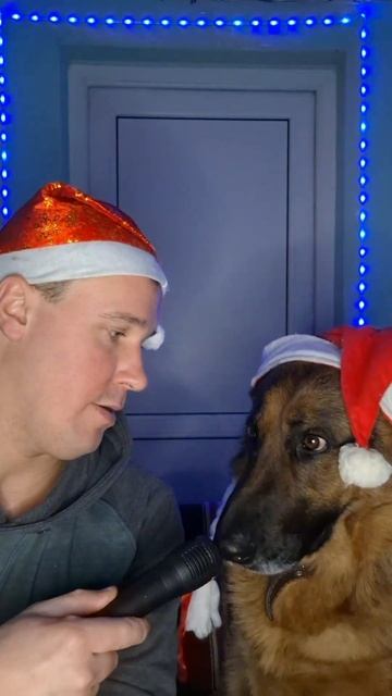 На новый год сколько планируете потратить денег #funnyvide смотреть онлайн