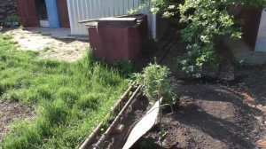 Участок 15 мая