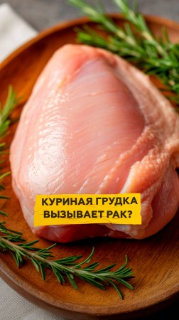 Куриная грудка вызывает рак?