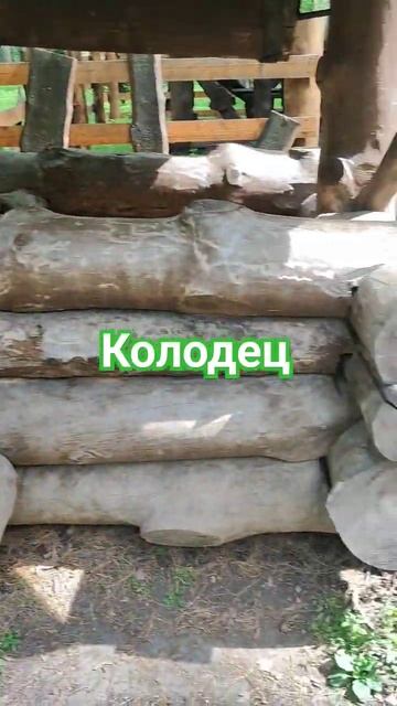 колодец,томская писаница #доммилыйдом #папк #2023 #фам #п?