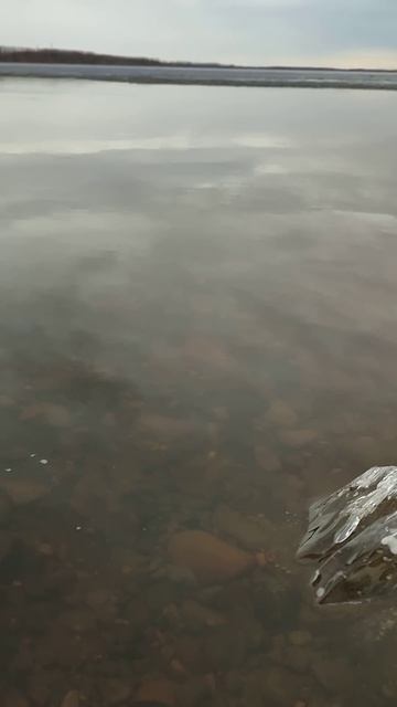 14.04.2025 Утро набережная реки Амур(1) смотреть онлайн