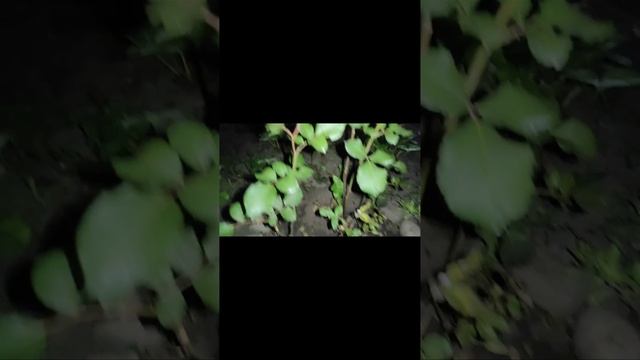 Башкортостан. Вечерняя болталка. 28 августа. Волшебная смотреть онлайн