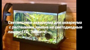 Освещение аквариума Juwel. Замена на светодиодные лампы