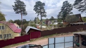 Таволга