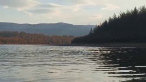 красота