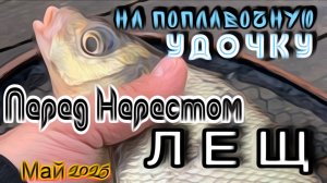 Ловля леща в проводку: майская тактика. Секреты успешной рыбалки в 2025 году на оз. Волго.