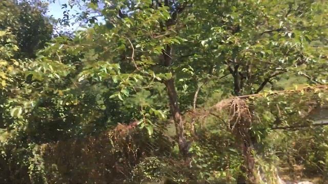 Каткова щель 31июля 2021 смотреть онлайн