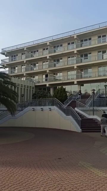 Сочи, краснодарский край, Зелёная роща смотреть онлайн