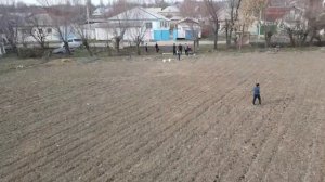 Опрыскивание полей агродронами: защита от вредителей