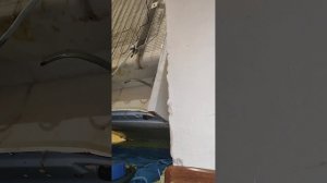 Морозилка Nord 10 лет, не включается #ставрополь #ремонт #?