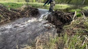Строительство, расчистка дренажных каналов