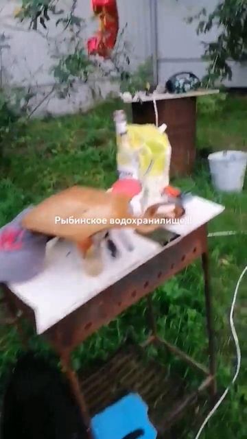 Рыбинское водохранилище, top , shorts . смотреть онлайн