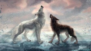 NotADub -  С волками убегу ! Aurora [Running With The Wolves]