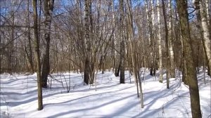 За 5 минут до весны