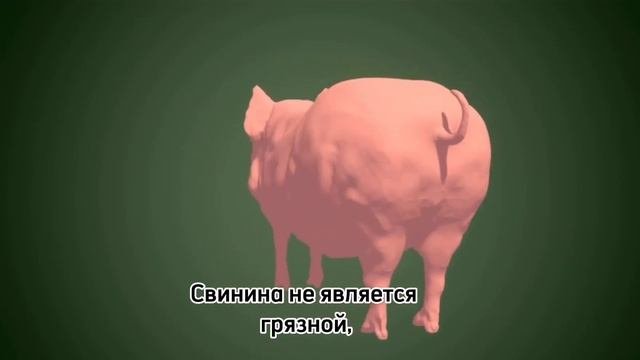 ПОЧЕМУ МУСУЛЬМАНЕ НЕ ЕДЯТ СВИНИНУ⁉️