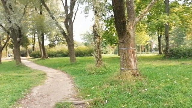 Санкт-Петербург. Южно-Приморский парк. Пруд Восьмёрка.