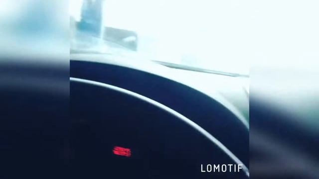 FUN coub #36 / видео приколы / coub 2019 / животные / смешные животные / приколы 2019 / cube смотреть онлайн