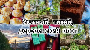 Уютный деревенский влог, счастливая жизнь в деревне, заказали роллы, покупки озон, уют в деревне