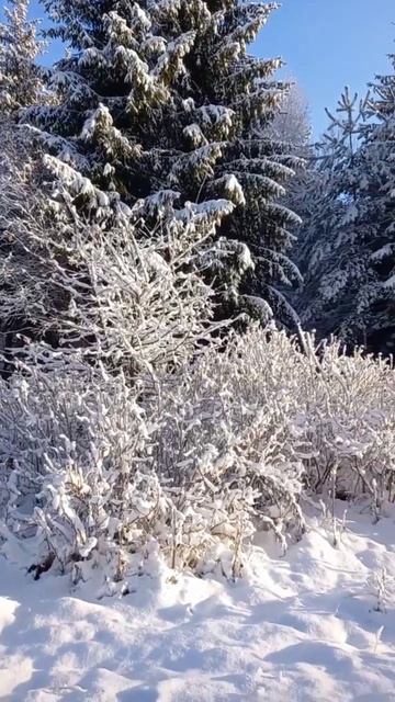 Зимняя сказка смотреть онлайн