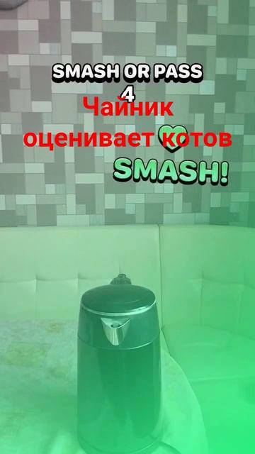 Чайник оценивает котов смотреть онлайн