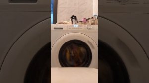 стираем много полотенец в стиральной машинке Haier 51 мин