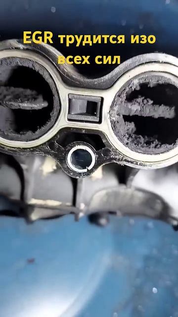 Система EGR как она есть #automobile смотреть онлайн