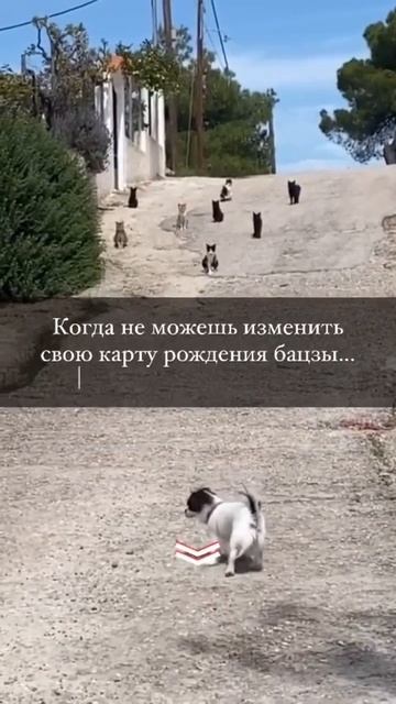 Когда не можешь изменить свою карту рождения бацзы смотреть онлайн