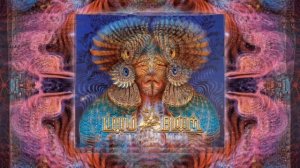Liquid Bloom DJ Set @ Meow Wolf Santa Fe